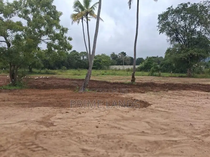 දඹුල්ල නගරයට නුදුරින් සින්නක්කර බිම්කොටස් විකිණීමට
