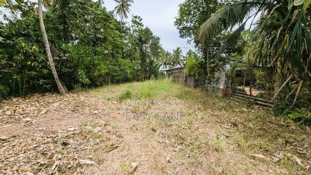 ගම්පහ ගනේමුල්ල ජාඇල පාරෙ මිදෙල්ලවිට ඉඩමක්