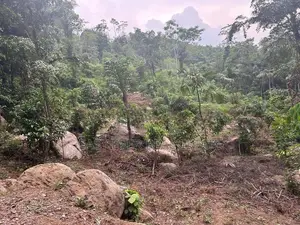 නිට්ටඹුව – රුවන්වැල්ල පාරට සෘජුවම මායිම් වූ වටිනා ඉඩමක්