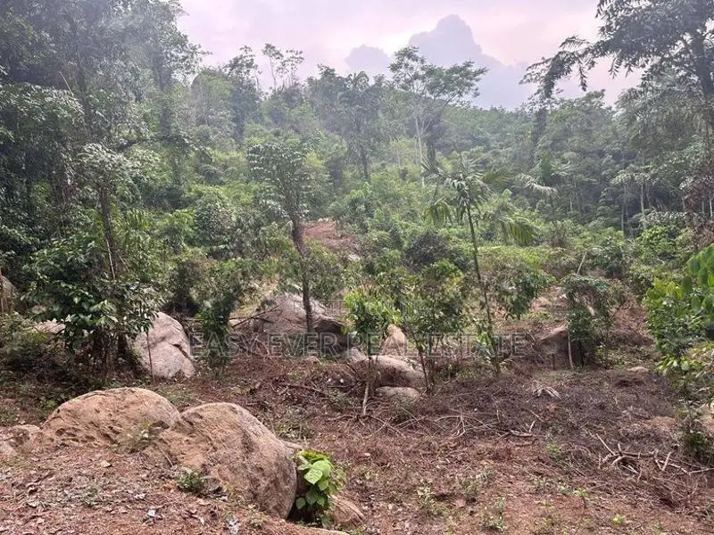 නිට්ටඹුව – රුවන්වැල්ල පාරට සෘජුවම මායිම් වූ වටිනා ඉඩමක්