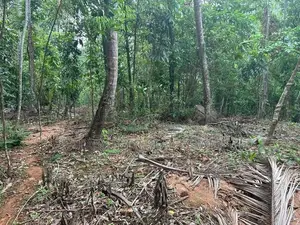 නිට්ටඹුව – රුවන්වැල්ල පාරට සෘජුවම මායිම් වූ වටිනා ඉඩමක්