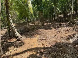 නිට්ටඹුව – රුවන්වැල්ල පාරට සෘජුවම මායිම් වූ වටිනා ඉඩමක්