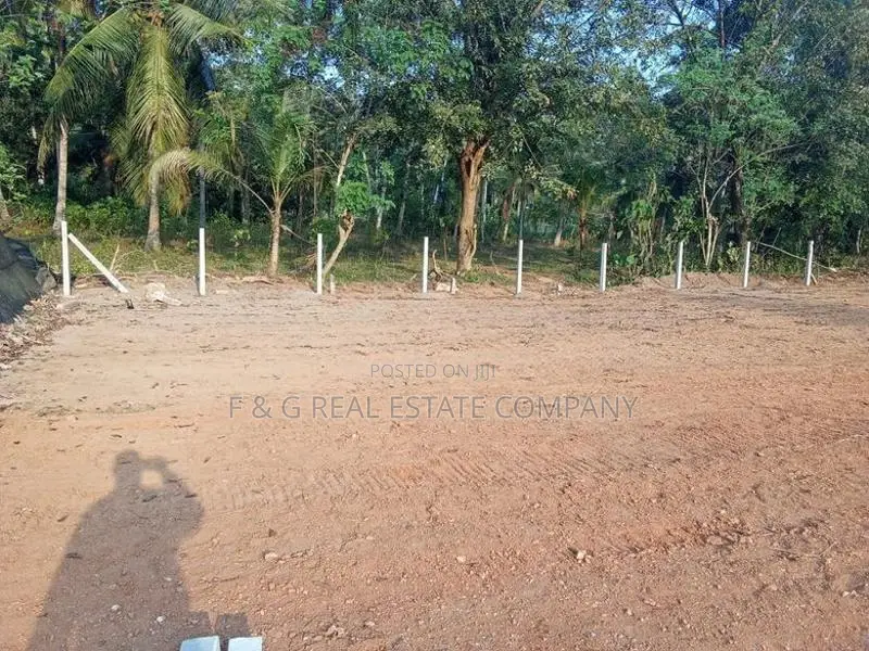 Diulapitiya Ullalapola Land