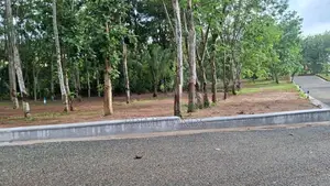 Land in Diwulapitiya