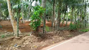 ඉඩමක් කදාන නගරයෙන්