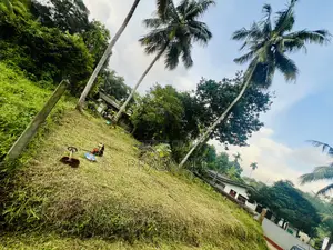 Land for Sale in Malamulla, Panadura.