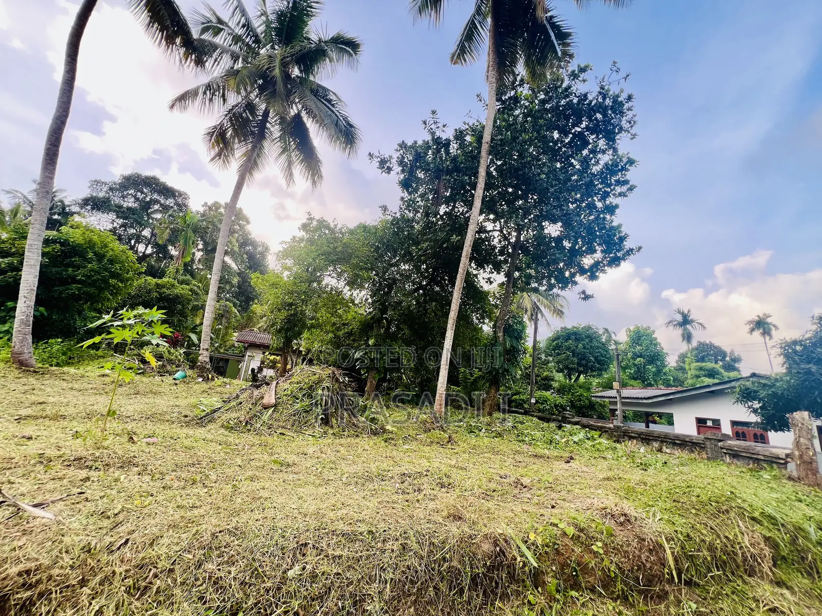Land for Sale in Malamulla, Panadura.
