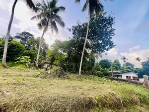 Land for Sale in Malamulla, Panadura.