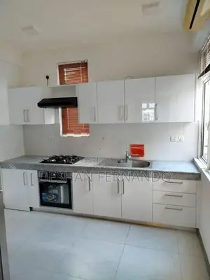 Modern Pantry Cupboards