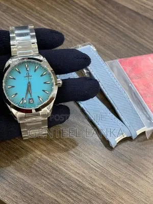 Omega Seamaster Luxury Mens Watch
