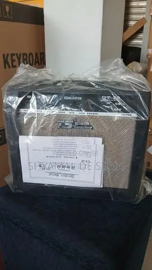 Back Amp Guitar Amplifier