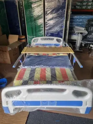 Four Function Manual Beds with Sanitory