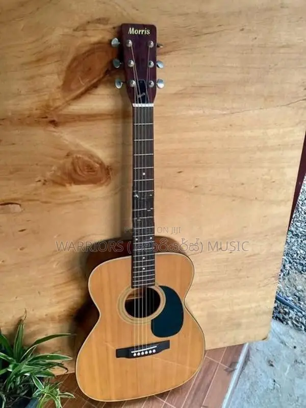 Morris F 10 Japan Box Guitar