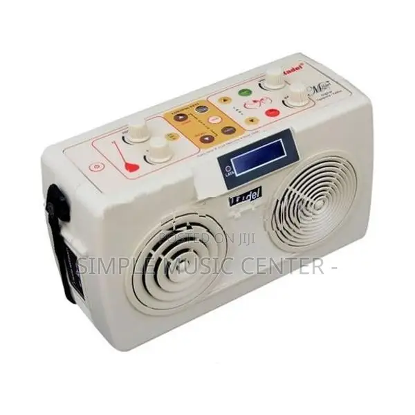 Digital Tanpura And Tabla Milan Plus (Radel)