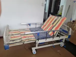 Four Function Manual Beds with Sanitory