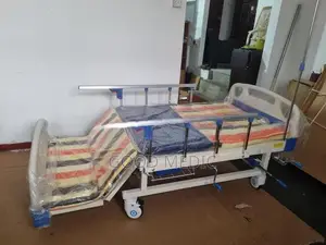 Four Function Manual Beds with Sanitory