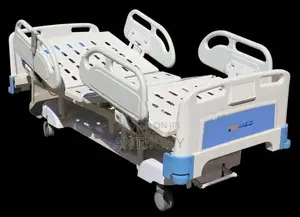Five Function Electric Hospital Bed