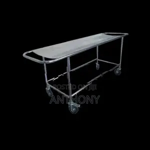 Patient Trolley (S/S)