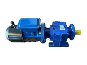 Brake Type Gear Motor