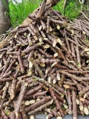 තුම්මස් මඤ්ඤොක්කා ලී
