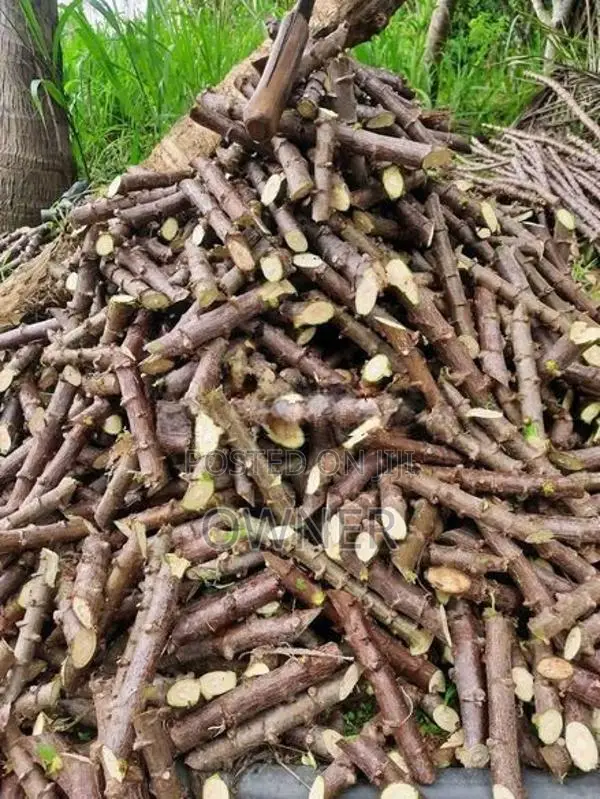 තුම්මස් මඤ්ඤොක්කා ලී