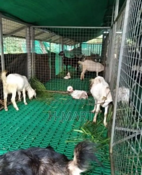 goat flooring panel plastic