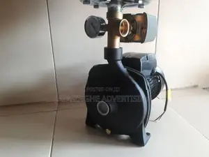 Pressure Pump With 24 L tank 1 Hose Power Hugo