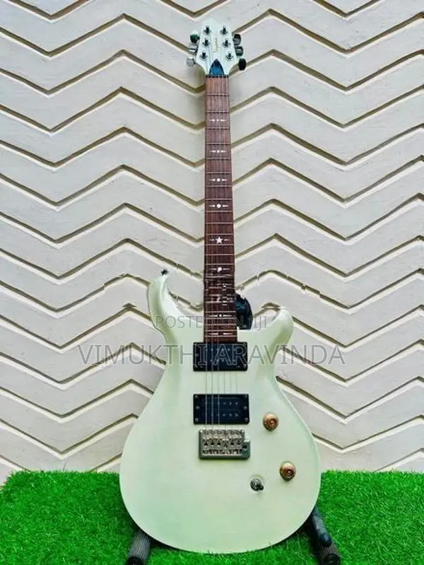 Toyama Electric guitar