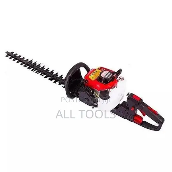 Hedge Trimmer lion
