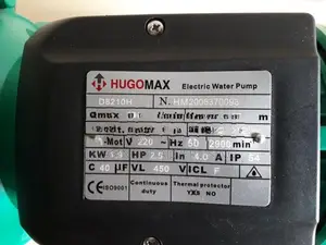 Hugo Water Pump 2" Hose power 2.5