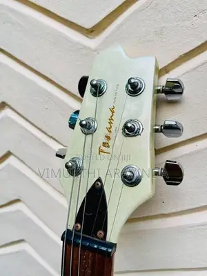 Toyama Electric guitar