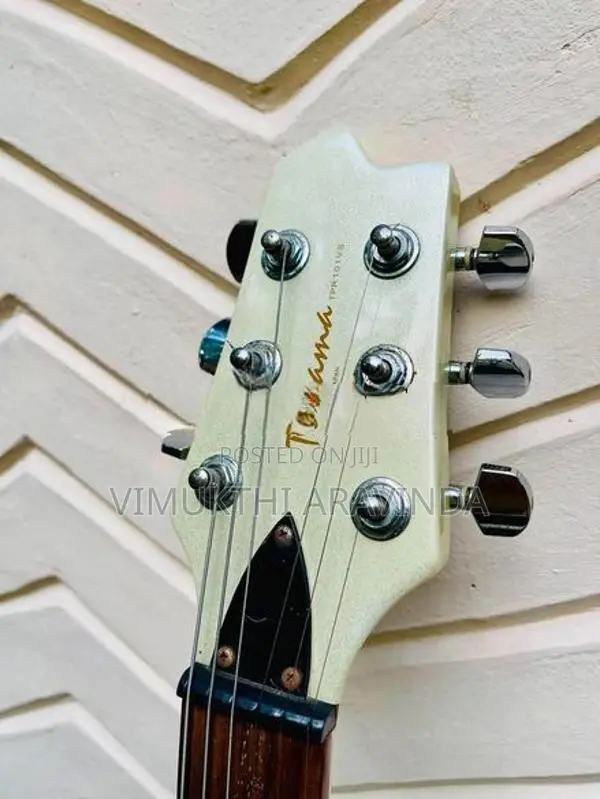 Toyama Electric guitar