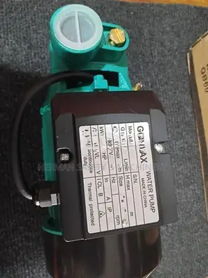 GOLMAX QB60 DOMESTIC WATER PUMP HERMAN HT 0845