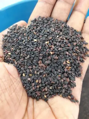 Sesame Seeds