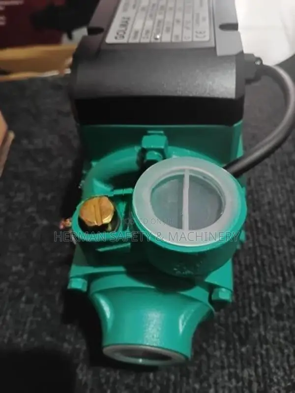 GOLMAX QB60 DOMESTIC WATER PUMP HERMAN HT 0845