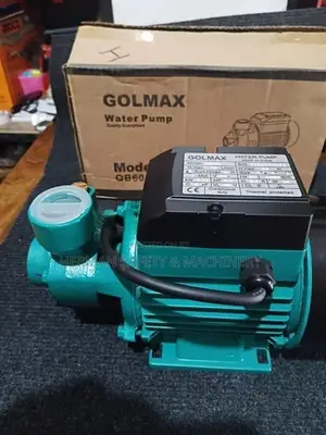 GOLMAX QB60 DOMESTIC WATER PUMP HERMAN HT 0845