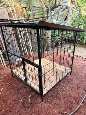 Dog Cage
