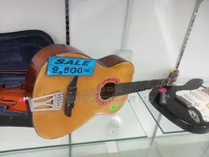 Samick Box Guitar