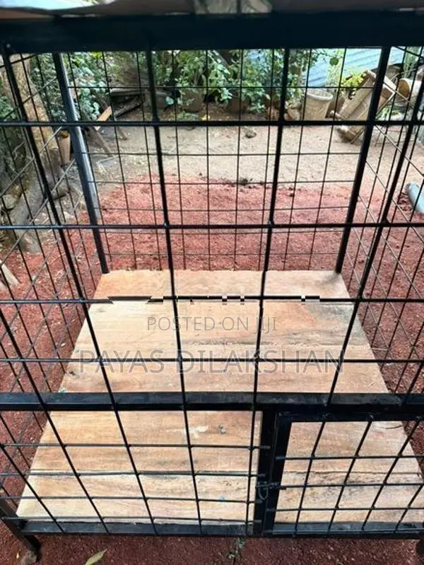Dog Cage