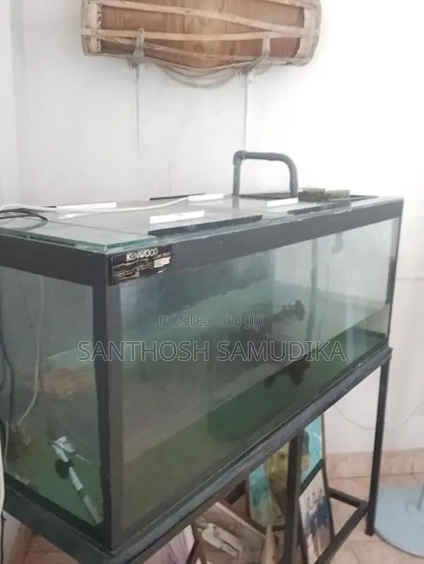 Fish Tank with Accessories