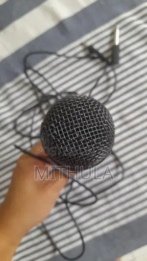 Sony F-V120 Vocal Dynamic Microphone