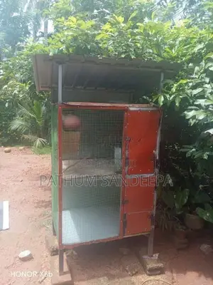 කුරුලු කූඩුව