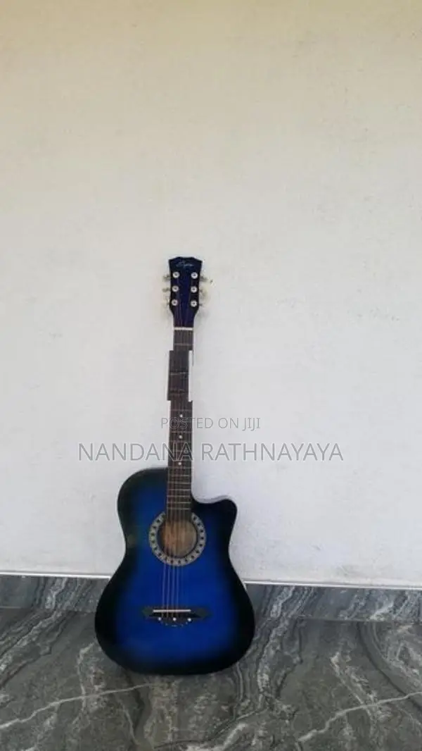 Brand New Guitar