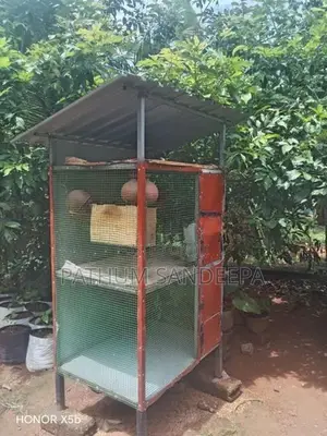 කුරුලු කූඩුව