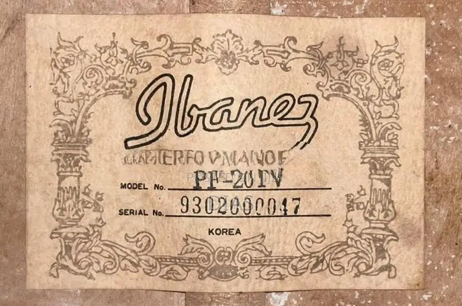 Ibanez Performance Acoustic