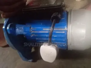 Solex Water Pump