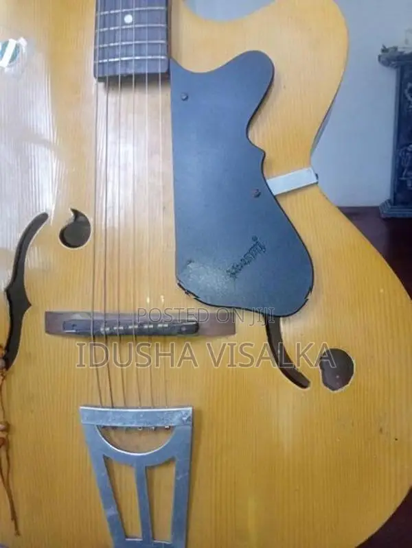Indian Box Guitar