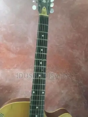 Indian Box Guitar