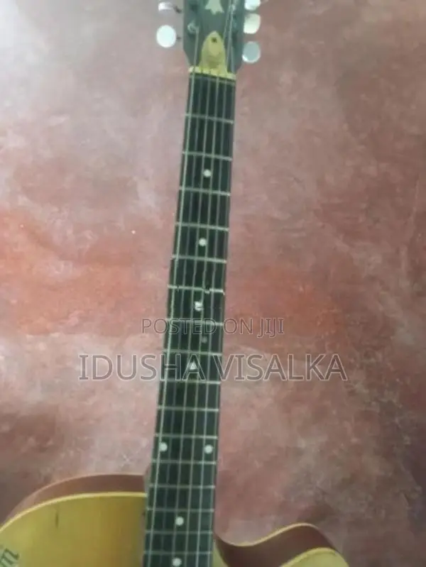 Indian Box Guitar