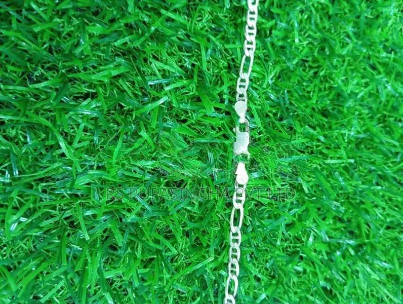 Silver Chain